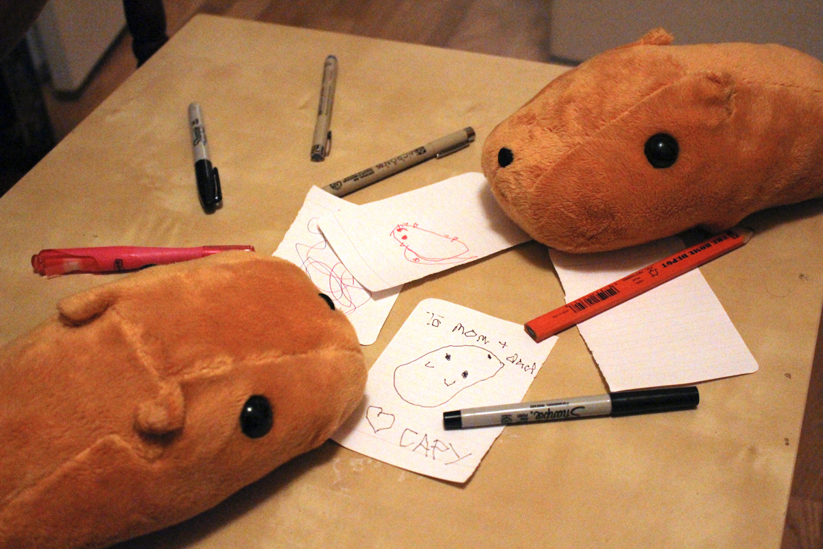 Capybaras making art