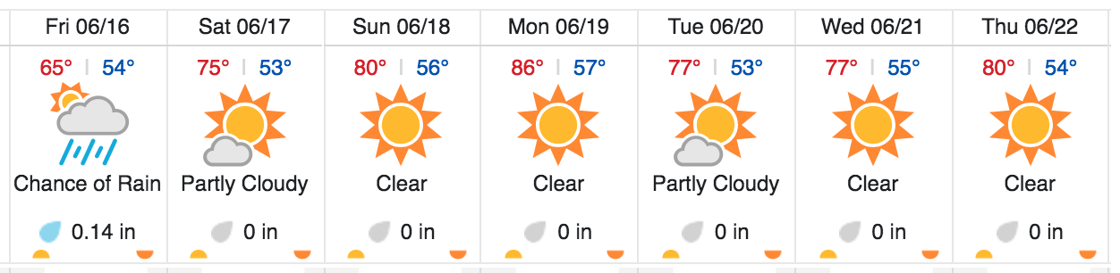 weather-forecast