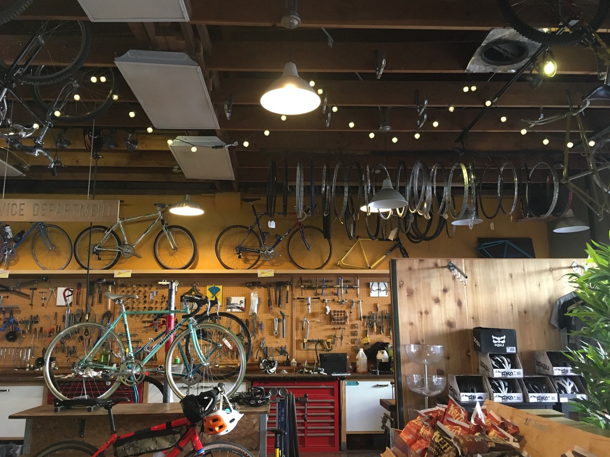 velo cult bike shop