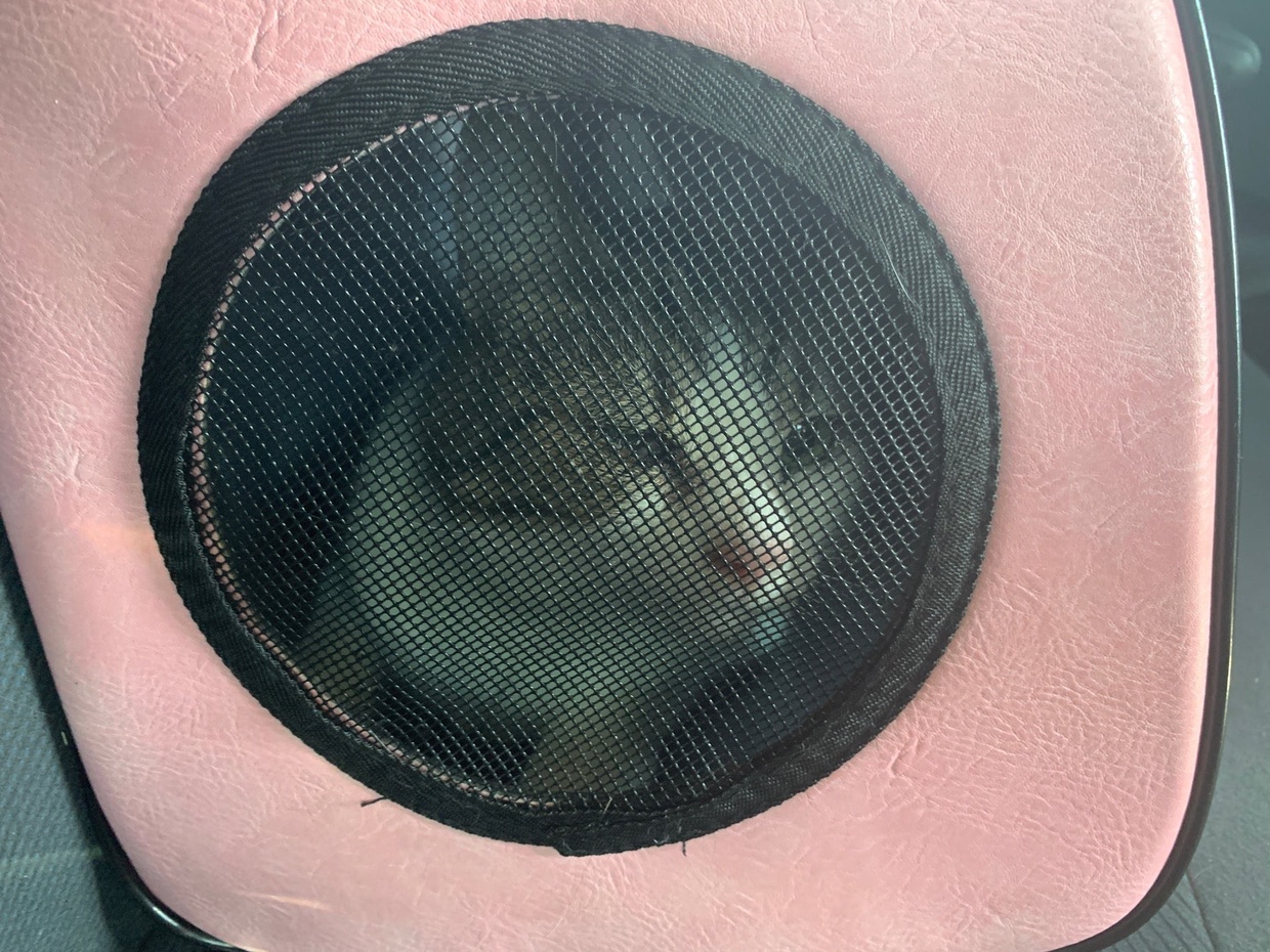 Checked In At Northwest Veterinary Specialists Aaron Parecki