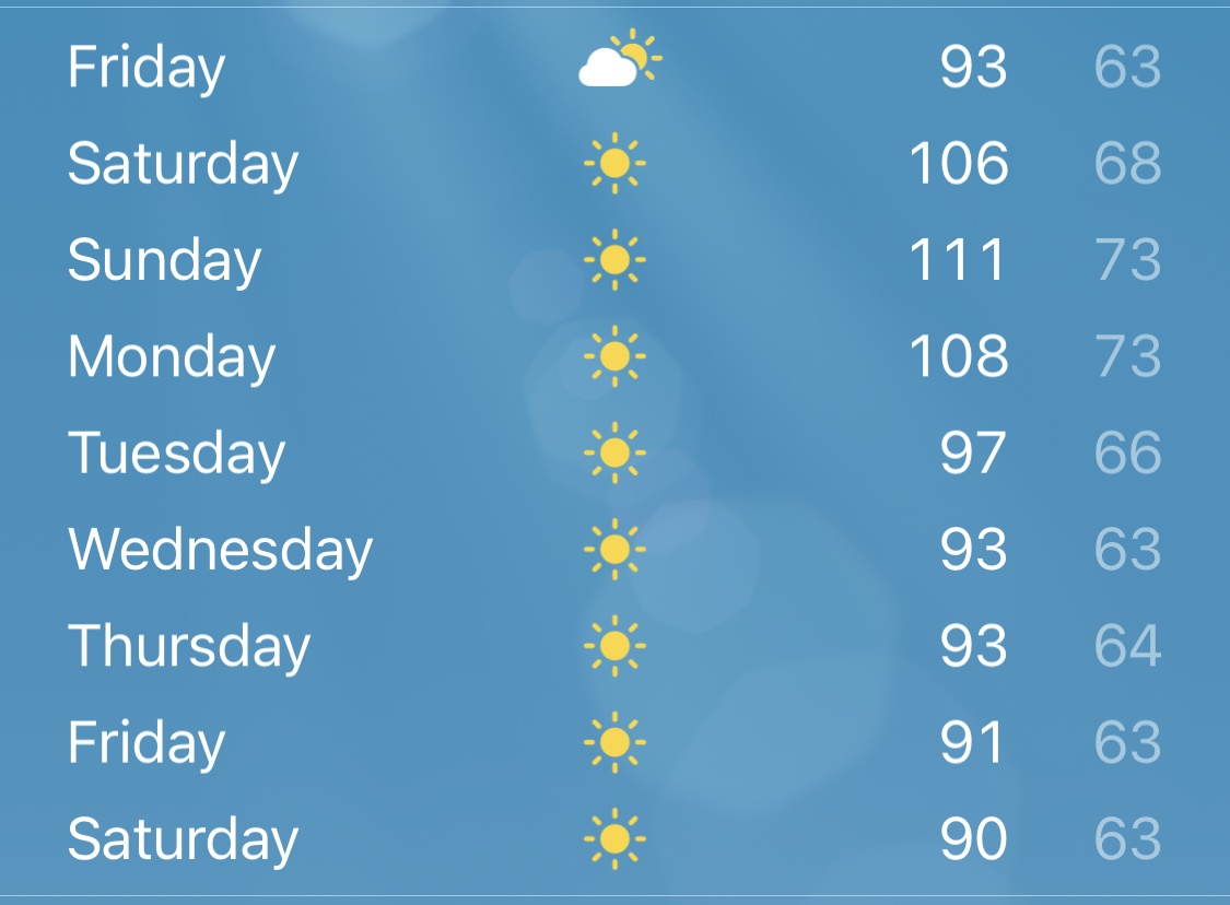 It is supposed to be 111°F (44°C) this weekend and I legit